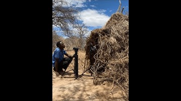 Documenting Hadza 2019-2021: A retrospective