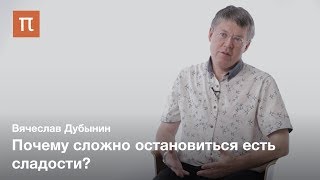 Мозг и голод - Вячеслав Дубынин / ПостНаука