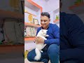 cat filter...#viralvideo #fannyvideo #photography
