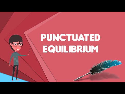 ভিডিও: জীববিজ্ঞানে punctuated equilibrium কি?