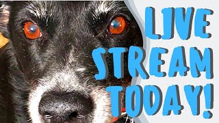 Lets Get Creative Today - Monday - 11-25-2024 - HowToGetCreative.com