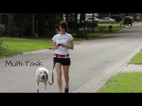 Hands Free Dog Leash Belt From Squishy Face Studio