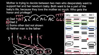 DNA Paternity Testing theory explaned