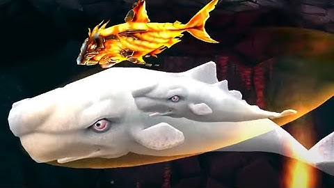 Hungry Shark Evolution [Android] Gameplay #4