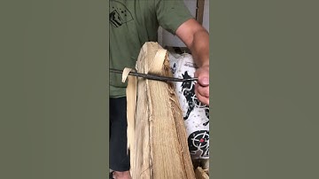 Drawknife VS Wood Bow Stave 🔊 #woodworking #asmr #bowmaking