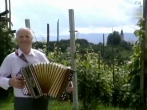 Video: Kakšna Je Razlika Med Harmoniko In Harmoniko Ter Harmoniko