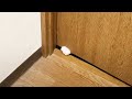 トイレに可愛い侵入者がやってくるので困ってます #Shorts