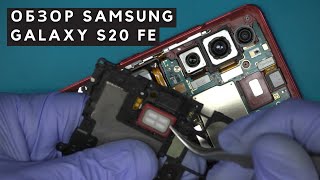 Обзор Samsung S20 FE - взгляд изнутри. Доступный флагман для фанов бренда | Разборка Samsung S20 FE