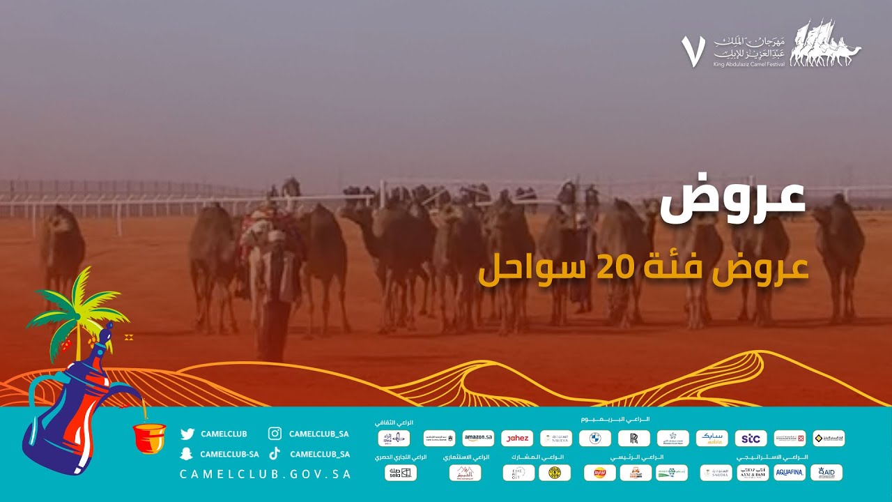 عروض فئة 20 سواحل 🐪 ضمن منافسات #مهرجان_الملك_عبدالعزيز_للإبل7