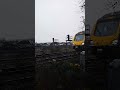 class 195 at Langley mill