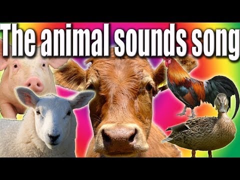 animal-sounds-song.-funny-talking-animals.