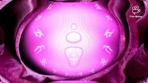 Forgiveness of Self and Others ~ Light Language ❤️✨