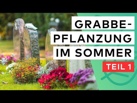 Summer Grave Planting 🌺 ☀️ 15 Plants for Lots of Sun & Little Water ✅ | Part 1