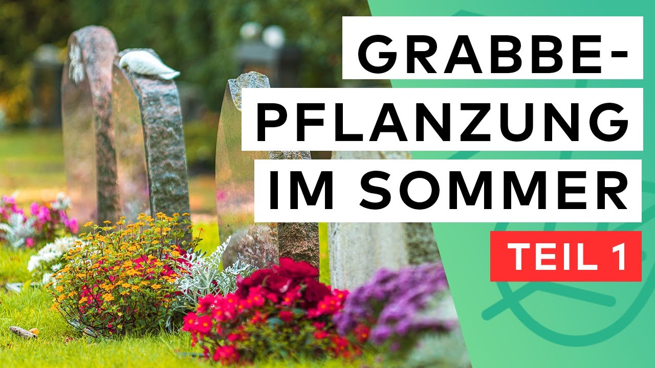 Grabbepflanzung im Sommer 🌺 ☀️ 15 Pflanzen für viel Sonne & wenig Wasser ✅