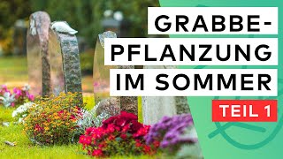 Grabbepflanzung im Sommer 🌺 ☀️ 15 Pflanzen für viel Sonne & wenig Wasser ✅ | Teil 1