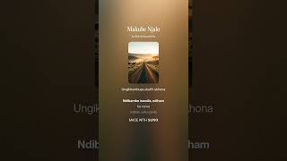 Makube Njalo