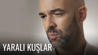 Murat Evgin - Yaralı Kuşlar