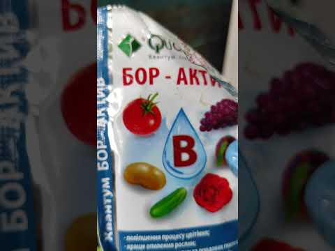 Збільшуємо врожай огірків
