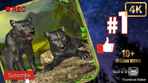 Wild Panther Sim 3d Gameplay | Part 1 | #gameplay #turbogaming