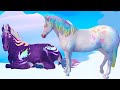Catching NEW Rainbow Color Changing Magic Horses in Star Stable