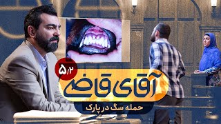 حمله سگ در پارک - سریال آقای قاضی - قسمت 5 (پرونده 2)