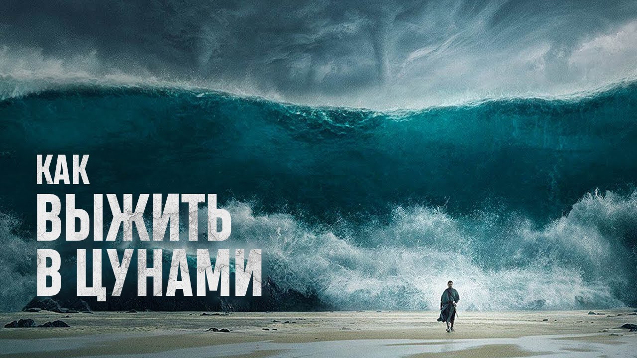 Цунами спб авто