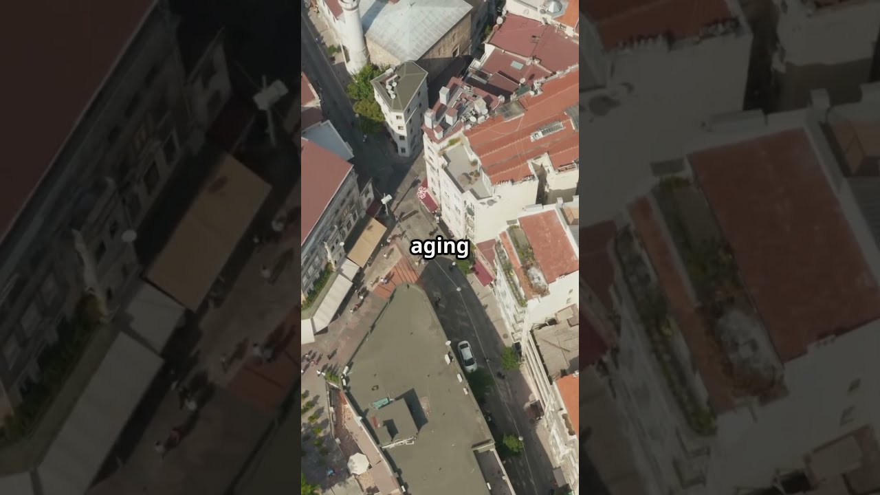 Istanbul S Earthquake Dilemma Is Ready 