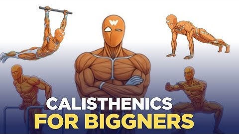 Calisthenics for Beginners | Start Your Fitness Journey Today 💪
