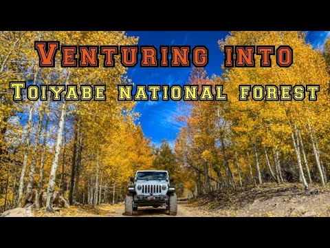 Video: Toiyabe National Forest: Kompletní průvodce