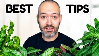I Wish I Knew These Plant Tips 5 Years Ago