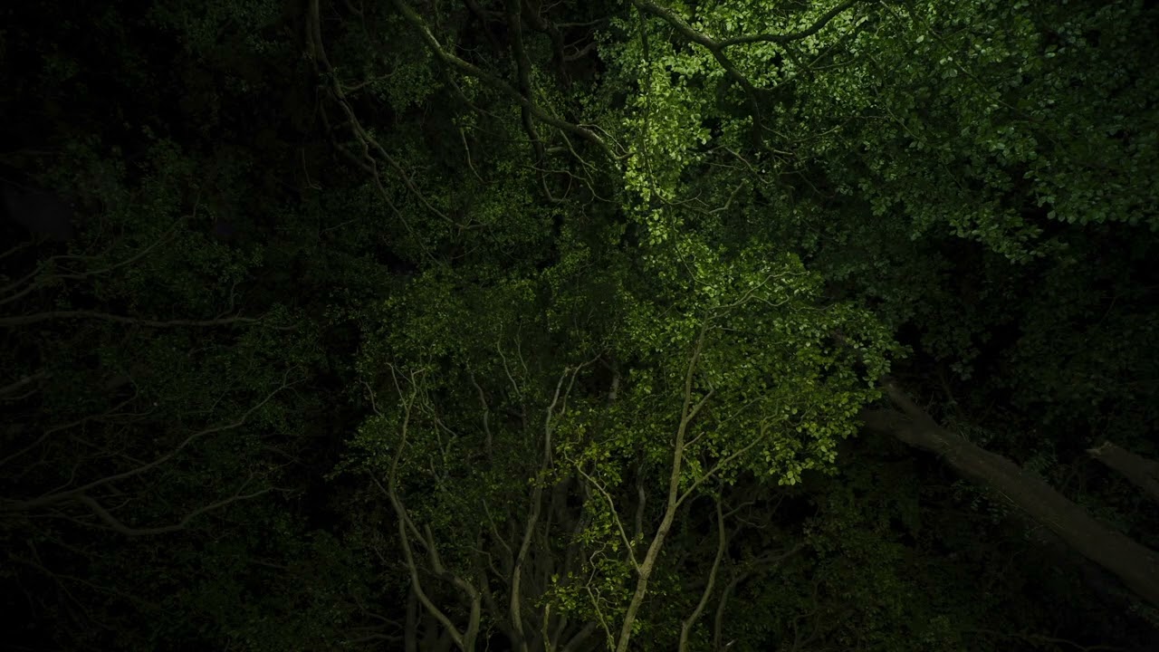 Watch Dear Gravity • Nap (Official Video) on YouTube Watch Dear Gravity • Nap (Official Video) on YouTube