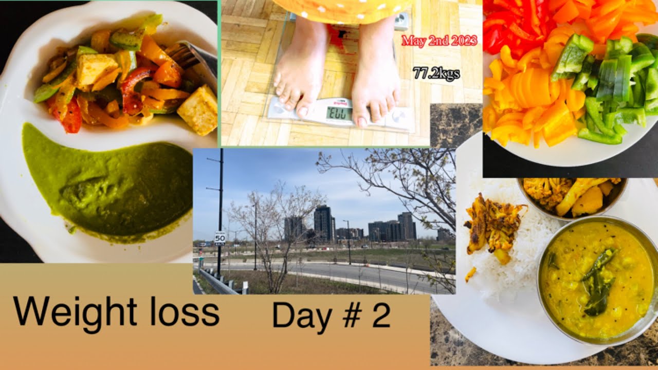 My weight loss journey Day 2 May 2nd 2023 Paneer stir Fry