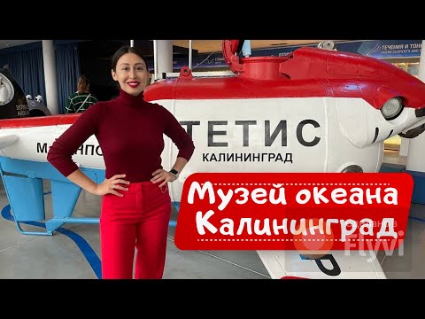 Музей мирового океана в Калининграде. Судно Витязь.