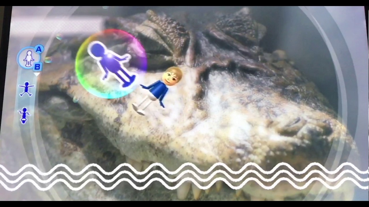 Wii Play - Pose Mii (1527 Points)