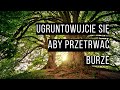 UGRUNTOWUJCIE SIĘ ABY PRZETRWAĆ BURZE - Kazimierz Dąbek