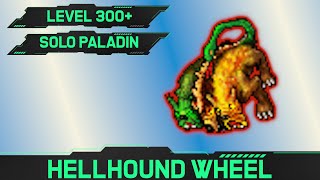 Hellhounds - Solo Paladin Hunt [300+]