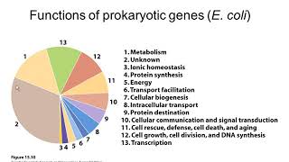 Genetics Chapter 15 Part 3 Captivate
