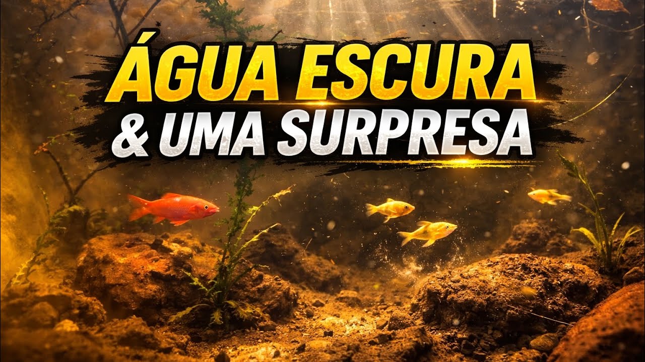 A água do aquapiso escureceu 🤦🏾‍♂️