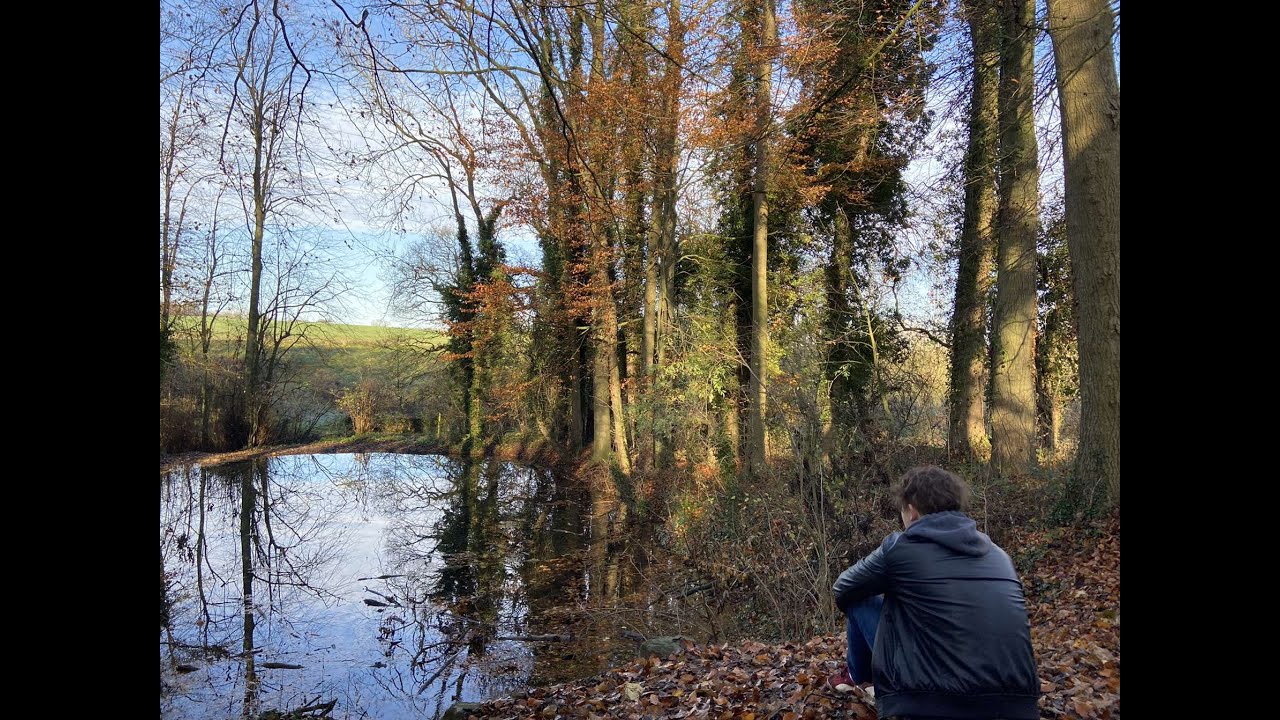 Noise Complaint - Seems Like a Downgrade To Me (Official Video)