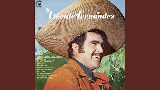 Video thumbnail of "Vicente Fernández - Hermoso Cariño"