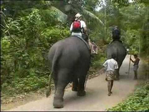 Our Sri Lankan Elephant Ride