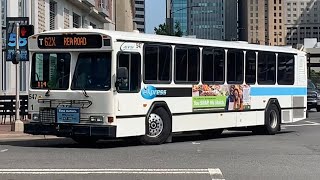 Buses in Charlotte, North Carolina 2023