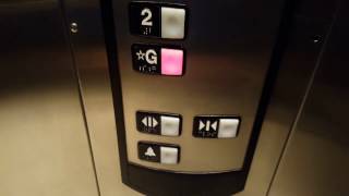 Schindler 321A Hydraulic Elevator at Indigo Bookstore - Yorkdale Mall