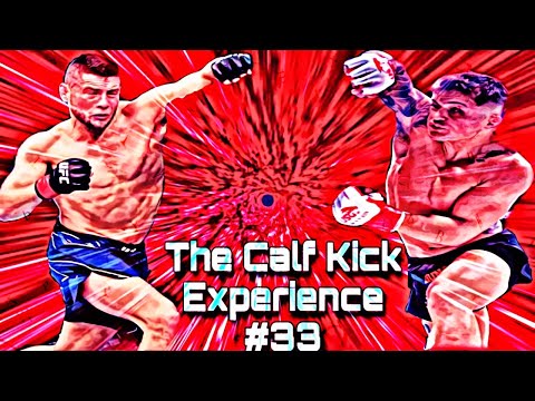 Pat Sabatini vs T.J. Laramie fight footage