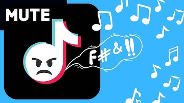 TikTok Muted My Video The Why