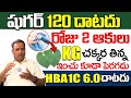 ఈ ఆకులతో షుగర్ మొత్తం కంట్రోల్ || Say Goodbye to Diabetes || Podapatri | N Subramanyam | iD Health