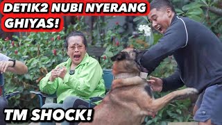 NUBI TIBA2 NYERANG GHIYAS, SEMUA SHOCK!