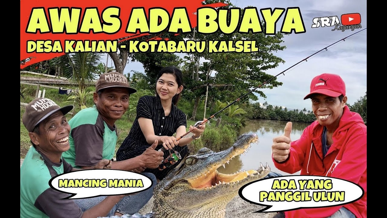 Awas Ada Buaya || Desa Kalian - Kotabaru Kalsel #31