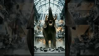 Elephant Amazing | EOTF | #shorts #ai #elephant #eyesonthefield