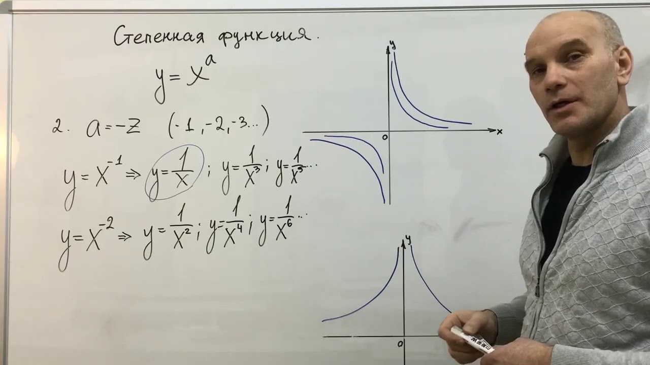 Степенная функция. Область определения